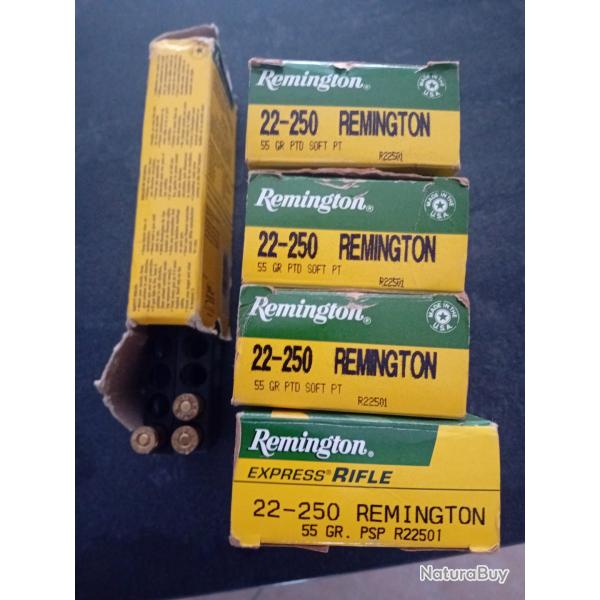 Munitions 22-250 remington