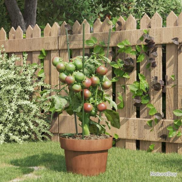 Supports pour plantes de jardin 3 anneaux 5pcs Vert 45 cm Acier alsavelo