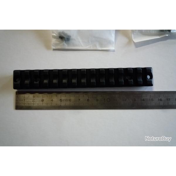 Rail picatinny pour savage short