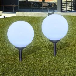Lampes d'all&eacute;e &agrave; LED 2 pcs 30 cm avec piquet de sol