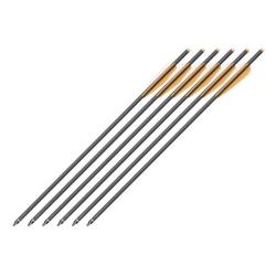 Trait Carbone Mankung 20"