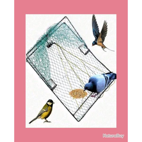 Filet de capture ( envoi gratuit)