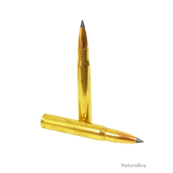 Munitions SOLOGNE 8x64S Nosler BT 180gr - 11.7g x20