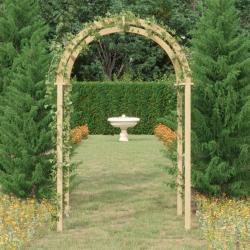 Arche 141x97x243 cm Bois de pin massif impr&eacute;gn&eacute;