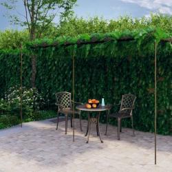 Pergola de jardin Marron antique 6x3x2,5 m Fer alsavelo
