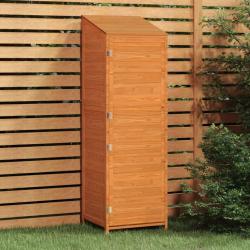 Remise de jardin Marron 55x52x174,5 cm Bois de sapin solide alsavelo