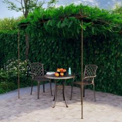 Pergola de jardin Marron antique 3x3x2,5 m Fer alsavelo