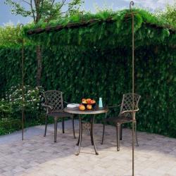 Pergola de jardin Marron antique 4x3x2,5 m Fer alsavelo