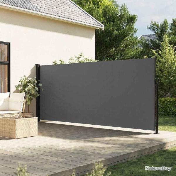 Auvent lat�ral r�tractable anthracite 160x500 cm