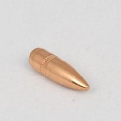 Ogives CAM PRO 223 BT FMJ 55 grains diamètre 224 par 500