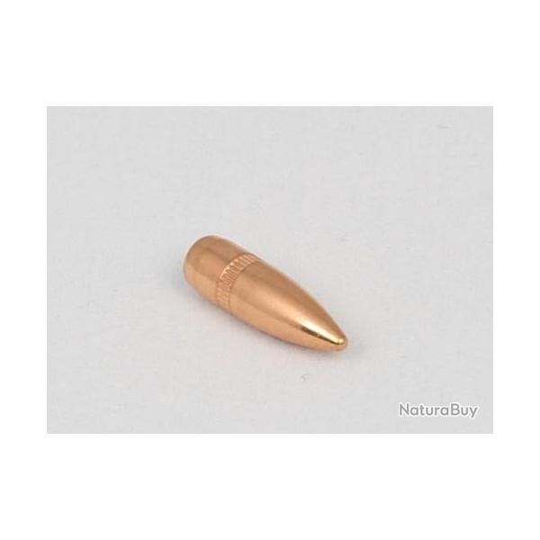 Ogives CAM PRO 223 BT FMJ 55 grains diam�tre 224 par 500