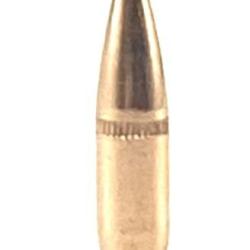 CAM PRO 223 BT FMJ 62 grains diam&egrave;tre 224 par 500