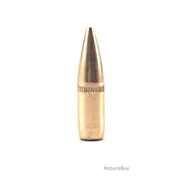 CAM PRO 223 BT FMJ 62 grains diam�tre 224 par 500