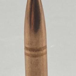 CAM PRO 308 FCP 220 grains diamètre .308 par 500