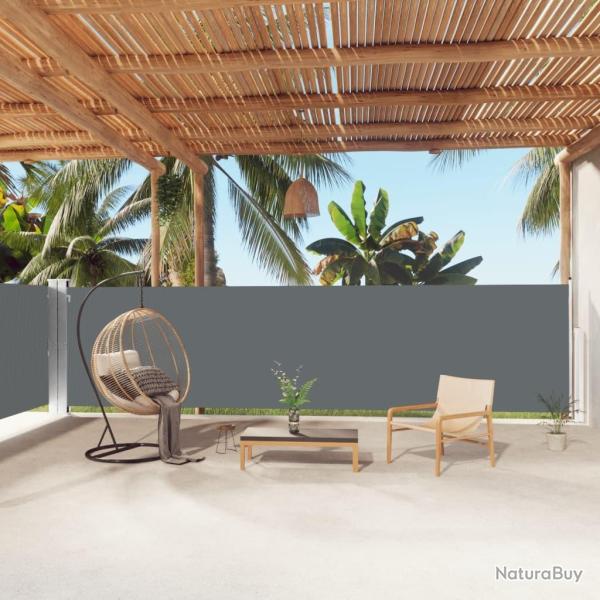 Auvent lat�ral r�tractable Anthracite 160x1000 cm alsavelo