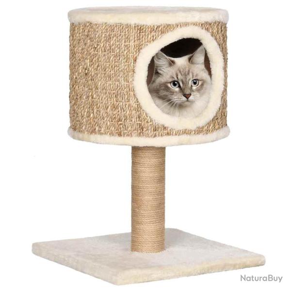 Arbre  chat avec appartement et griffoir 52 cm Herbiers marins alsavelo