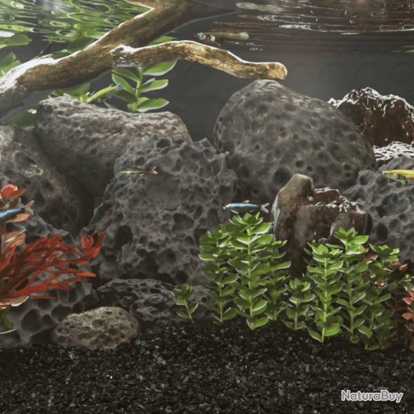 Roches volcaniques 10 kg noir 10-30 cm alsavelo