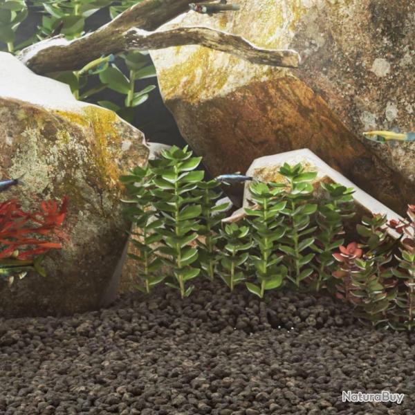 Roches volcaniques 10 kg noir 1-2 cm alsavelo