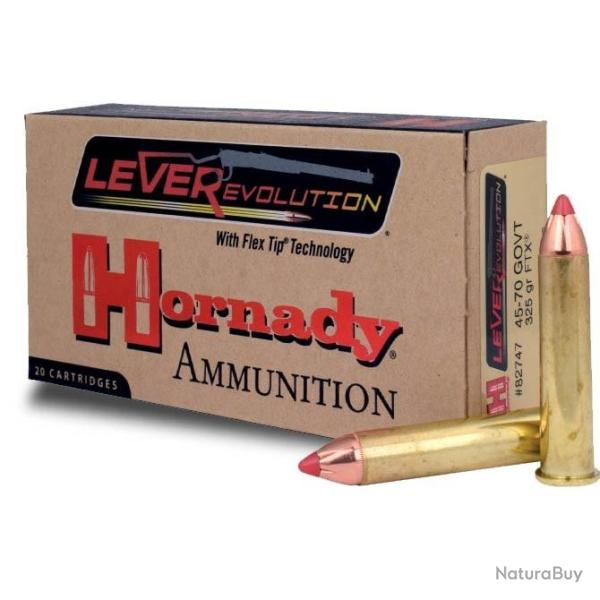 Munitions HORNADY calibre 45-70 Government FTX 325gr - 21g x20