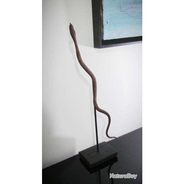Serpent en fer noir-Monnaie africaine du B�nin-African money-Black iron snake from Benin