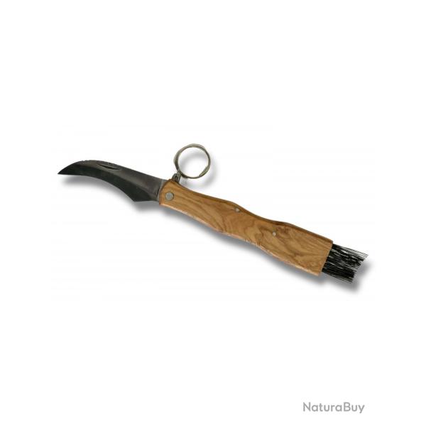 Couteau de poche � champignons