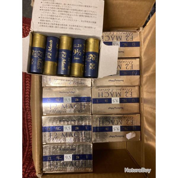 250 B&P F2 Mach 9.5(2mm)