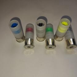 12 CARTOUCHES POUR COLLECTION CALIBRE 12