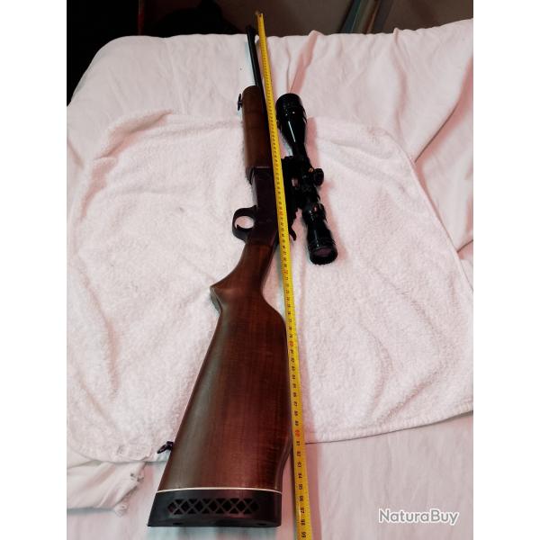 Carabine rossi 222 rem