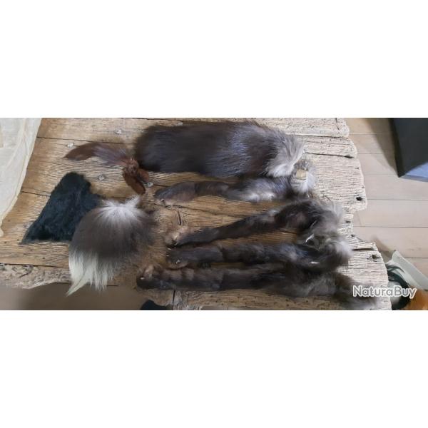Lot de fourure ancienne divers