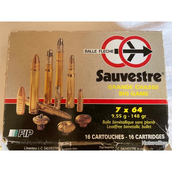 17 balles 7x64 SAUVESTRE balle fleche