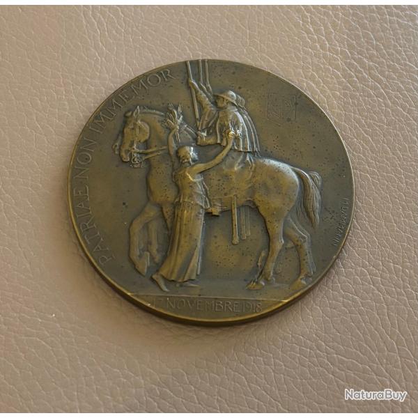 M�daille Patria non Immemor, Retour de Mulhouse