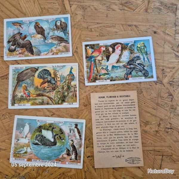 Lot de 5 images Leroux Bonzel sur les grands oiseaux, aigles, coq,