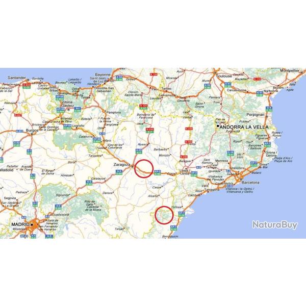 CAILLES  / CHASSE DEVANT SOI / CATALOGNE.