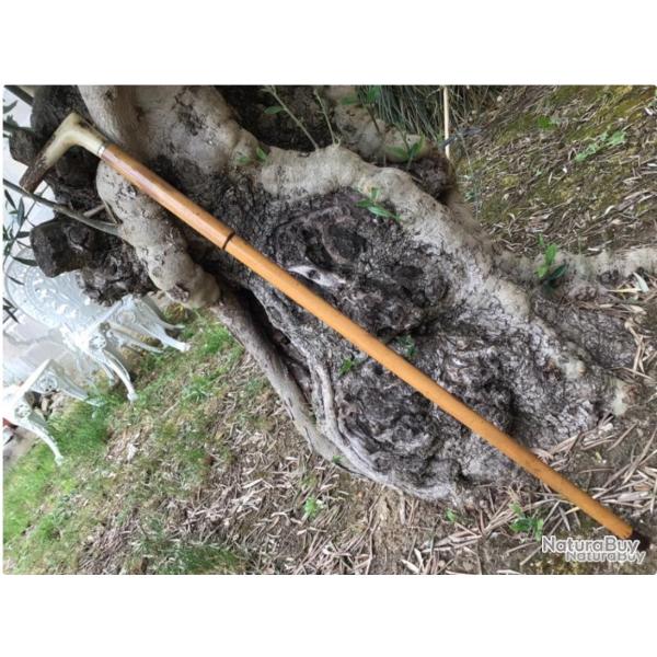 jolie canne fusil dumonthier