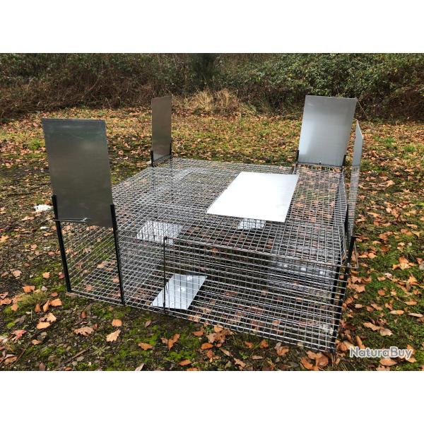 poulailler  renard 4 cages + module   appt centrale