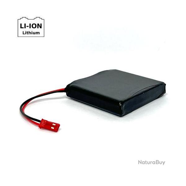 Batterie Lithium Carp Design pour Tlcommande V70/V80 EVO+