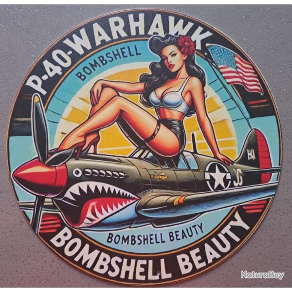 plaque decoration en alu panneau vintage avion chasseur CURTISS P40 WARHAWK  MK WW2 AIRPLANE USAAF