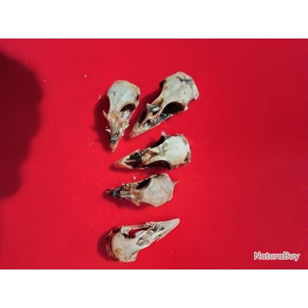 Lot crane perdrix rouge