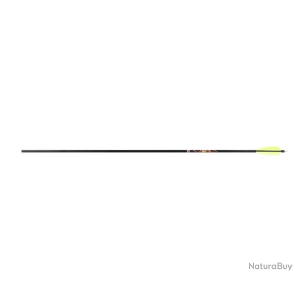 12 Fl�ches XX75 Tribute Easton 2016