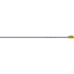 Fl&egrave;che XX75 Jazz Purple Purple Easton x 12 1516