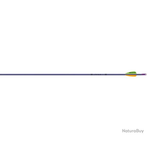 Fl�che XX75 Jazz Purple Purple Easton x 12 1516