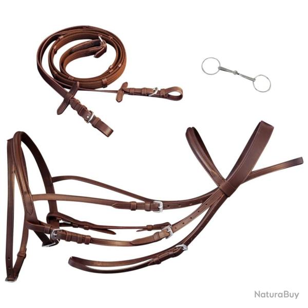 Bride Flash en cuir avec r�nes et bout pour poney Marron alsavelo