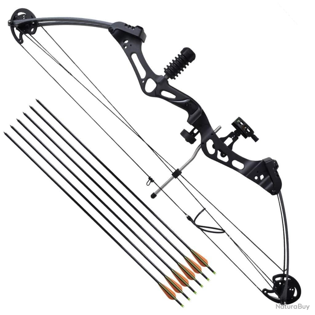 Flèches Chasse 12 Flèches Fibre De Verre Spine500 - Pour Arc à Poulies
