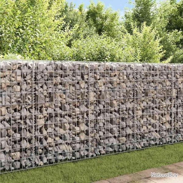Panier de gabion Acier galvanis� 120x30x50 cm