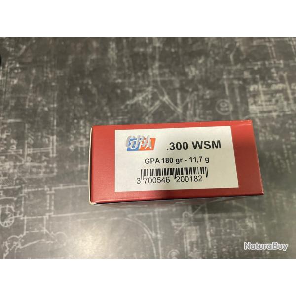 Sologne Cal.300 WSM GPA 180gr 11.7g