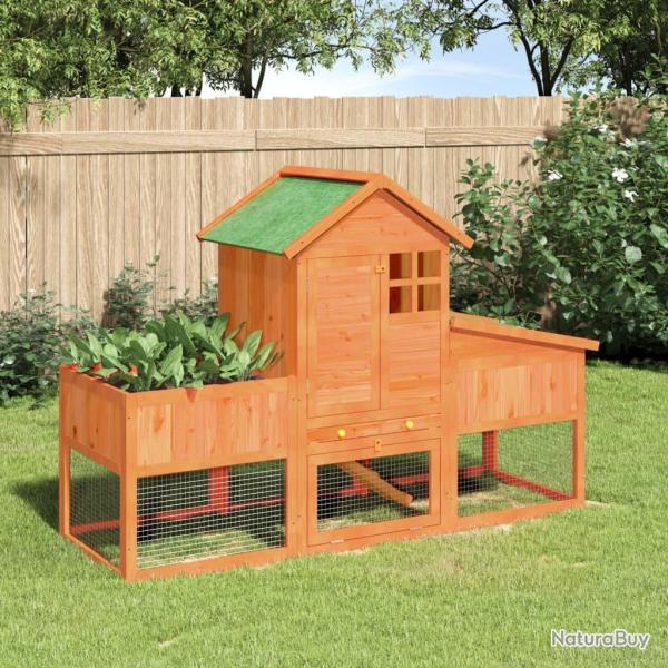 Clapier marron 170x63x113 cm bois de pin massif alsavelo