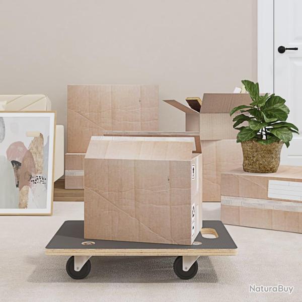 Chariots de transport 2 pcs rectangulaire 60x40x11,5 cm 250 kg