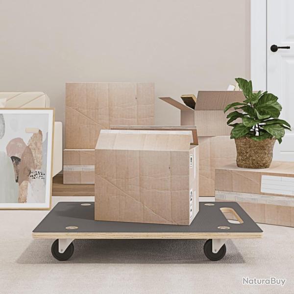 Chariots de transport 2 pcs rectangulaire 80x55x11,5 cm 250 kg