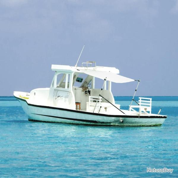 Extension d'ombrage T-Top blanc 170x208x(115-183) cm alsavelo