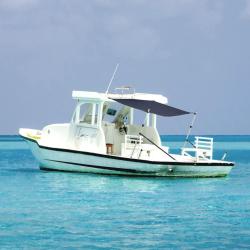 Extension d'ombrage T-Top bleu marine 170x208x(115-183) cm
